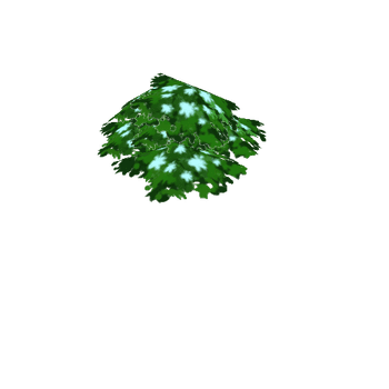 grass 1